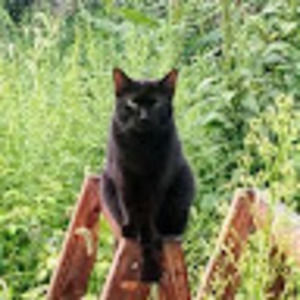 Meet your Posher, Bubbilicious